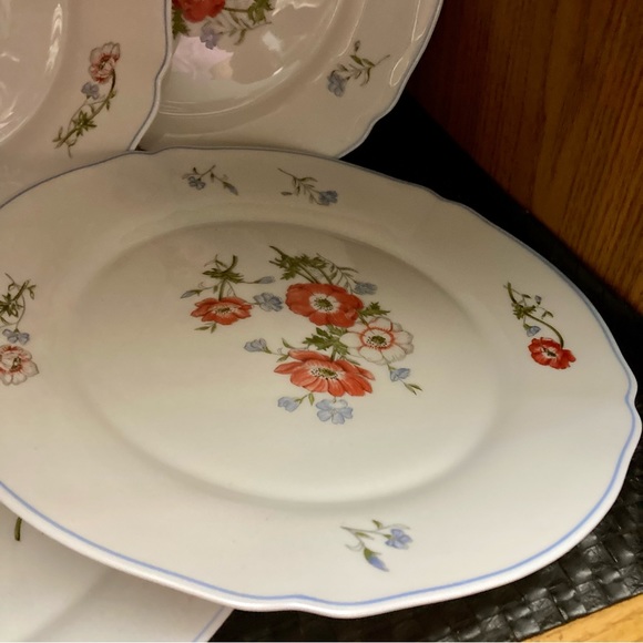 Arcopal Paradise glass dinner plate - Picture 3 of 8